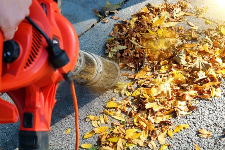 3 Types Of Leaf Blowers You Need To Know