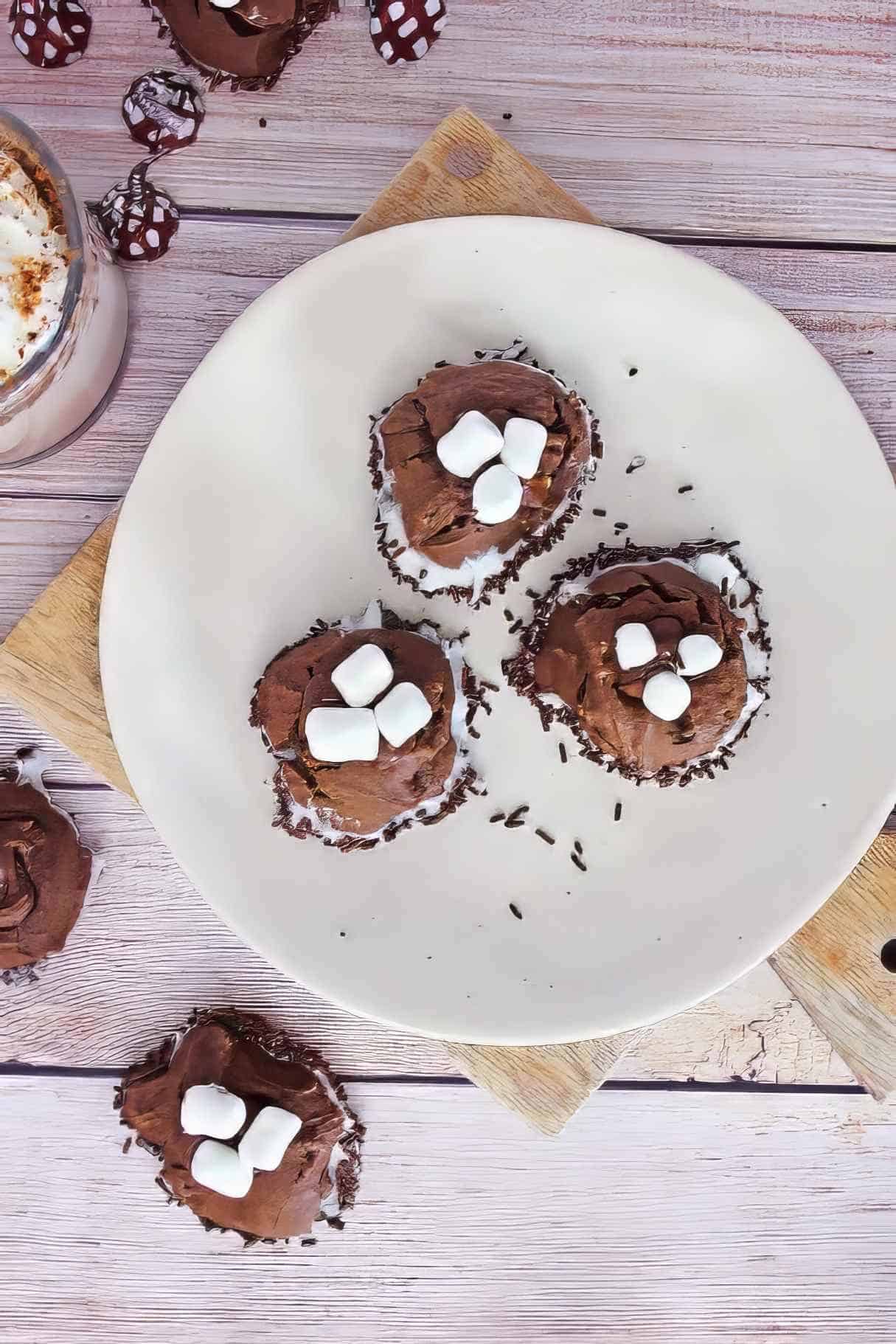 Delicious Easy to Make Hot Cocoa Cookies