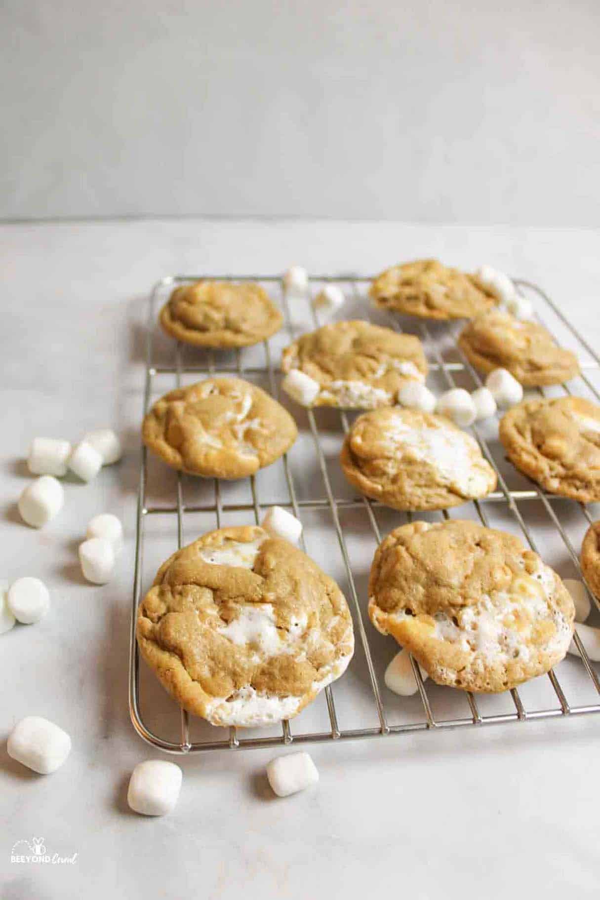 Amazing Peanut Butter Marshmallow Cookies