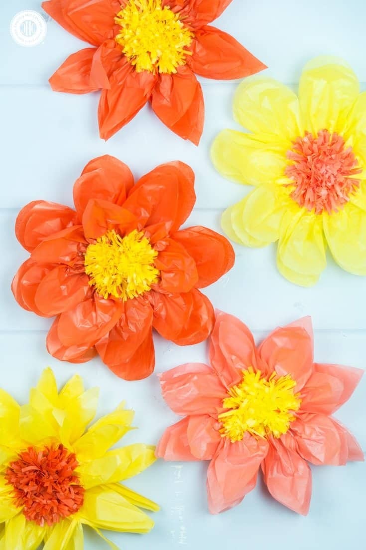 Giant Tissue Paper Flowers – Easy Paper Craft DIY