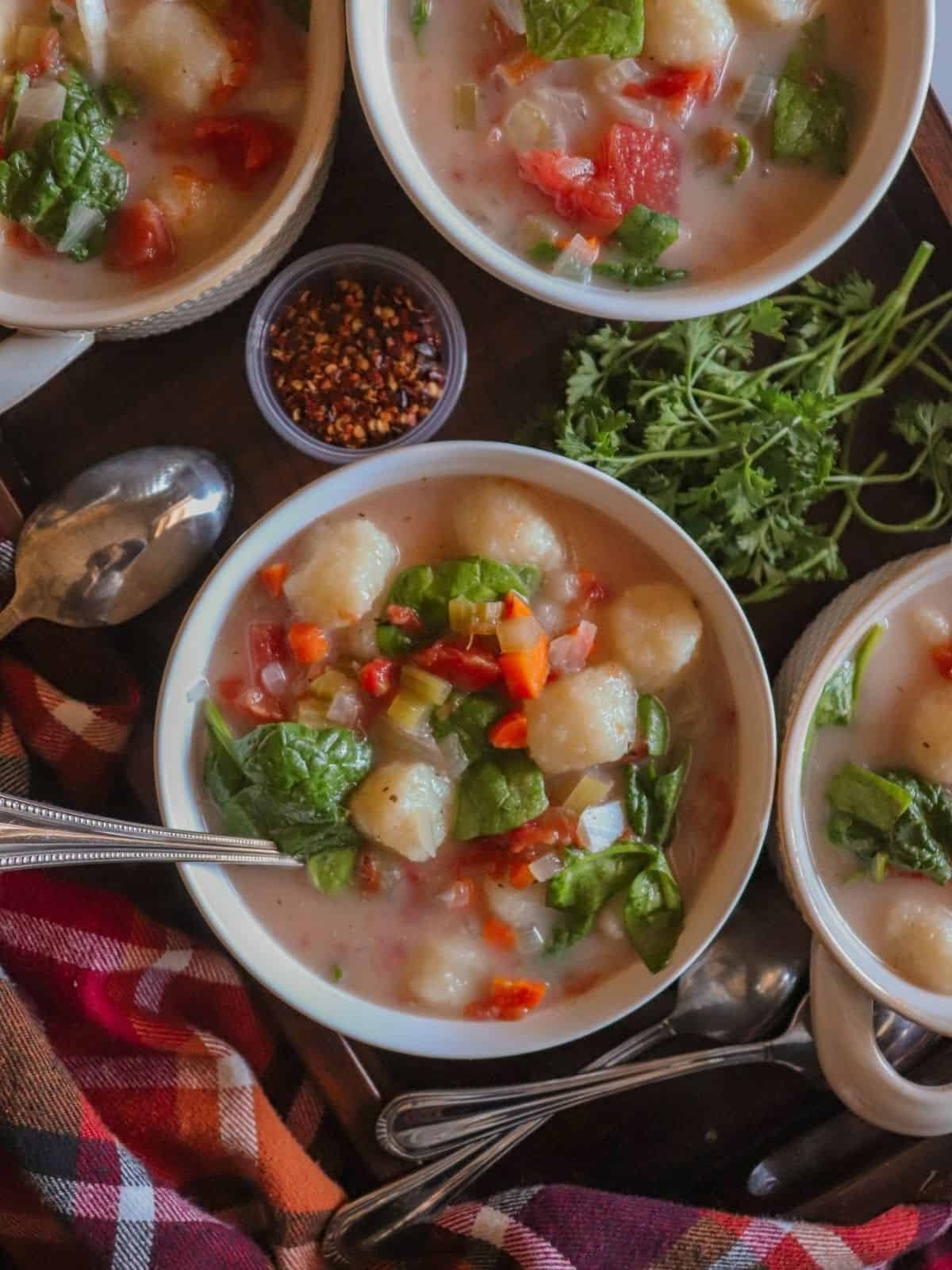 Slow Cooker Vegan Gnocchi Soup