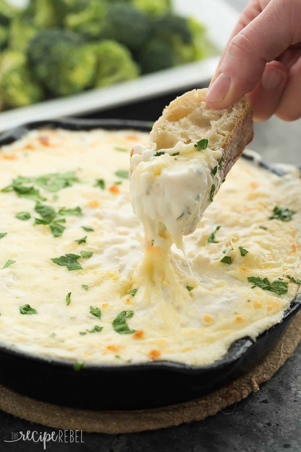 Chicken Alfredo Dip