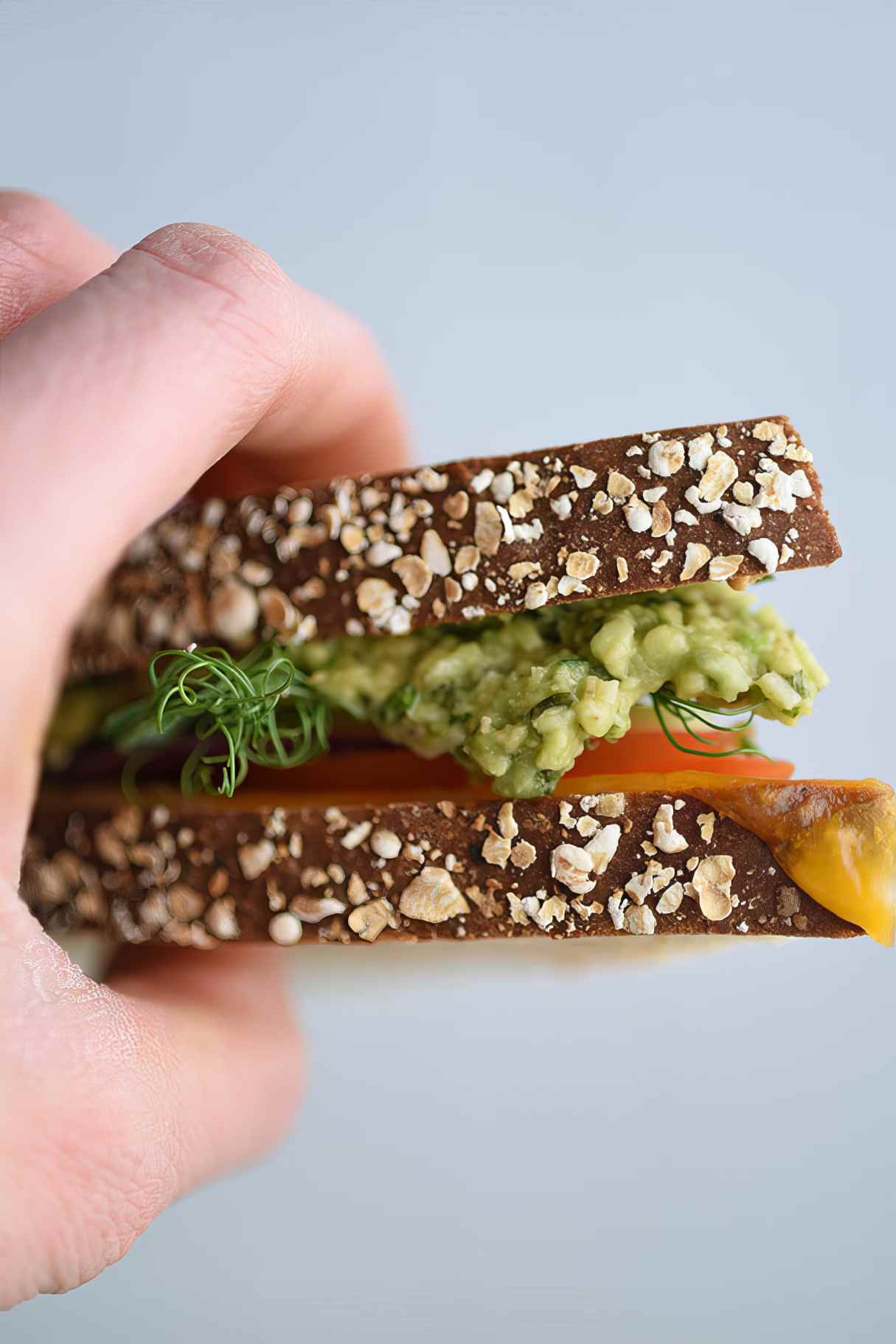 Homemade Veggie Melt Sandwich