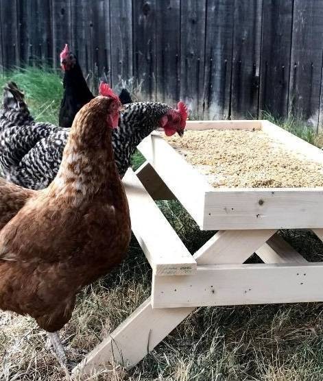 How To Make A DIY “Chicknic Table”